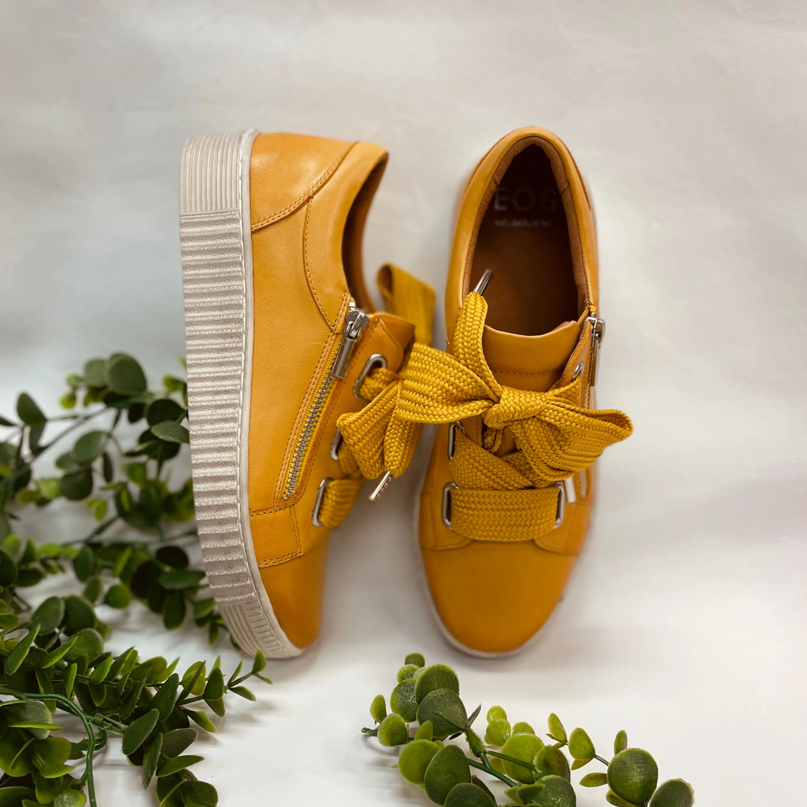 Event Jovi - Mustard