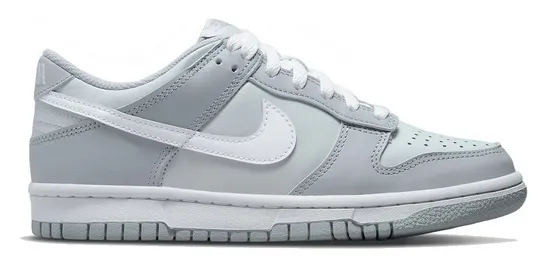 Nike Dunk Low Pure Platinum Grey (GS) Queen Touch Silver Shine